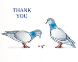 Pigeons Thank You Card by Lauren and Lorenz